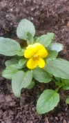 008.webp