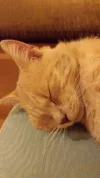 20170822_015742.webp