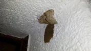 20170721_213519.webp