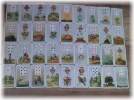 Alina_7237.webp