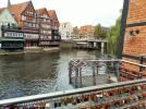 DSCF2903 (2).webp