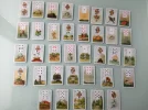 IMG_20170926_174637.webp