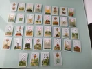 1506441293572639813348.webp
