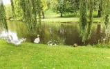 DSCF2628 (3).webp