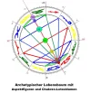 Lebensbaum.webp
