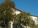 DSCN3846.webp