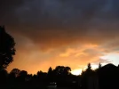 DSCN5754.webp
