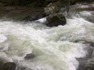 IMG_1624.webp