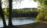 IMG_2345 (2).webp