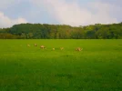 P9240045 (2).webp