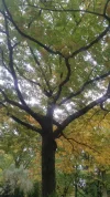 038.webp