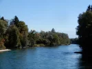 001.webp