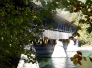 006.webp