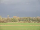 DSCN5903.webp