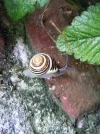 DSCN9337.webp