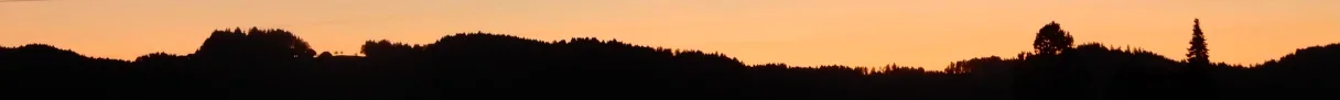 aufm Heimweg.webp