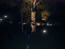 20171010_203533.webp