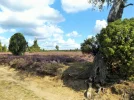 DSCF2232 (2).webp
