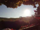 DSC00818.webp