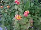 DSC00822.webp