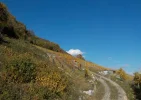 DSCN3915 (2).webp