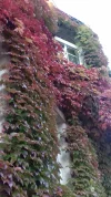 20171001_092451.webp