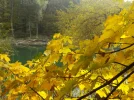 DSCN2556.webp