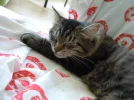 DSCN0002.webp