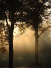 DSCN5937.webp