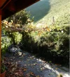 herbst.webp