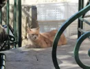 DSC_1375.webp