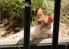 DSC_1819.webp