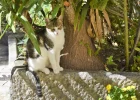 DSC_1931.webp