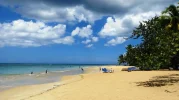 Palapa.webp