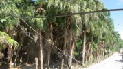 Bild 1.webp