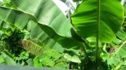 Bild 2.webp