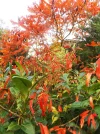 DSCF5055 (2).webp