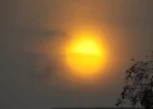 DSCF5034 (2).webp