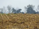 DSCF5038 (2).webp