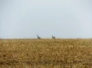 DSCF5040 (2).webp