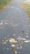 013.webp