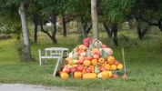 IMG_7882.webp