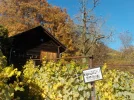 DSCN3918.webp