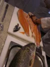 CIMG2533.webp