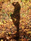 DSCN6089.webp