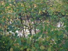 IMG_2474.webp