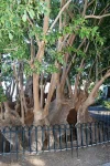 DSC_1844.webp