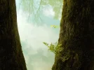 DSCN0365 (2).webp