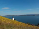 DSCN3922.webp