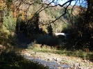 012.webp